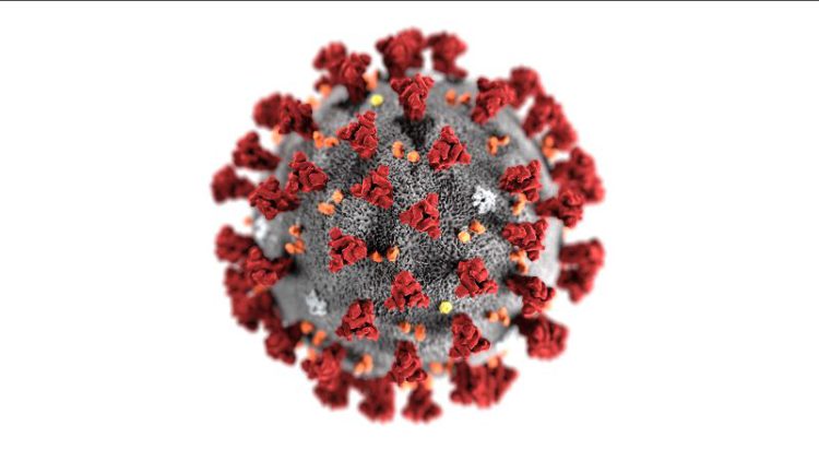 ST. KITTS AND NEVIS ENTERS STAGE OF COVID-19 COMMUNITY SPREAD