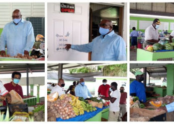 VENDORS ADJUSTING SMOOTHLY AT THE BASSETERRE PUBLIC MARKET WITH ENHANCED SAFETY PROTOCOLS