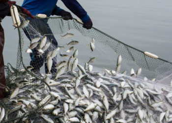 FISHERFOLK AND FARMERS TO BE ALLOWED TO ENGAGE IN THEIR TRADE DURING LIMITED OPERATION DAYS