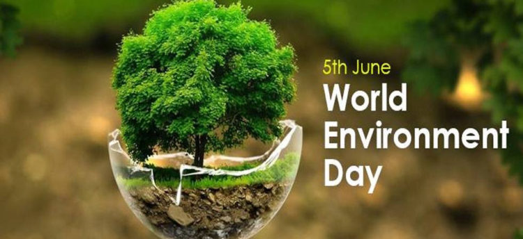 ST. KITTS AND NEVIS OBSERVES WORLD ENVIRONMENT DAY 2021 UNDER THE GLOBAL THEME ECOSYSTEM RESTORATION