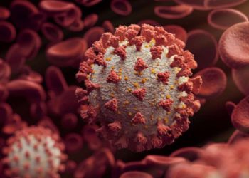 33 ADDITIONAL POSITIVE CASES OF COVID-19 CONFIRMED IN THE LAST 48 HOURS AND 25 RECOVERIES