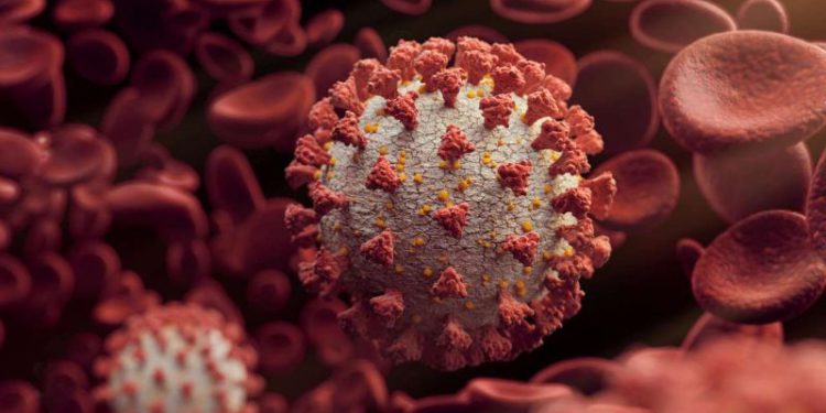 33 ADDITIONAL POSITIVE CASES OF COVID-19 CONFIRMED IN THE LAST 48 HOURS AND 25 RECOVERIES