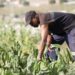 Argentina and IICA embark on joint project to drive agricultural and social development in the Caribbean