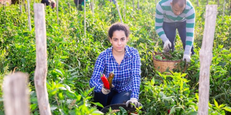 Organic Farming: An innovative production system that promotes gender and youth inclusion in Latin America and the Caribbean