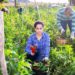 Organic Farming: An innovative production system that promotes gender and youth inclusion in Latin America and the Caribbean
