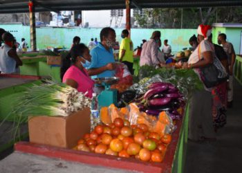 GOVERNMENT CONTINUES TO PROVIDE ONGOING SUPPORT TO THE AGRICULTURE SECTOR AND SMALL BUSINESSES   