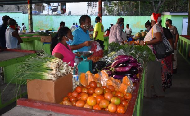 GOVERNMENT CONTINUES TO PROVIDE ONGOING SUPPORT TO THE AGRICULTURE SECTOR AND SMALL BUSINESSES   