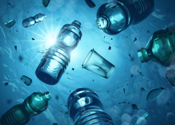 PLASTIC BEGONE CAMPAIGN TAKING ROOT IN THE FEDERATION