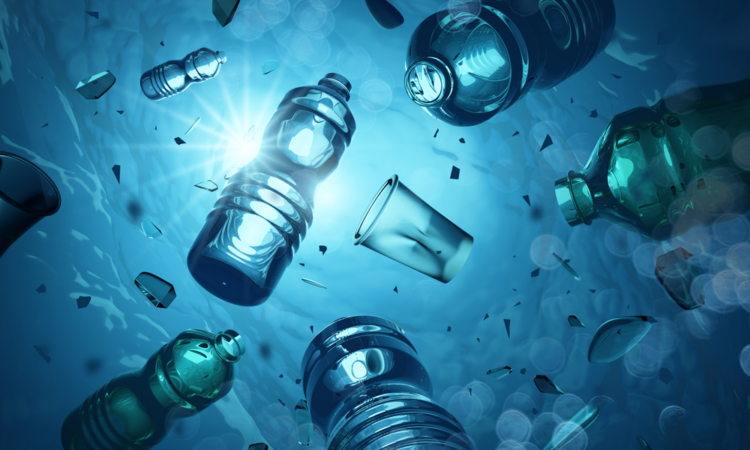 PLASTIC BEGONE CAMPAIGN TAKING ROOT IN THE FEDERATION