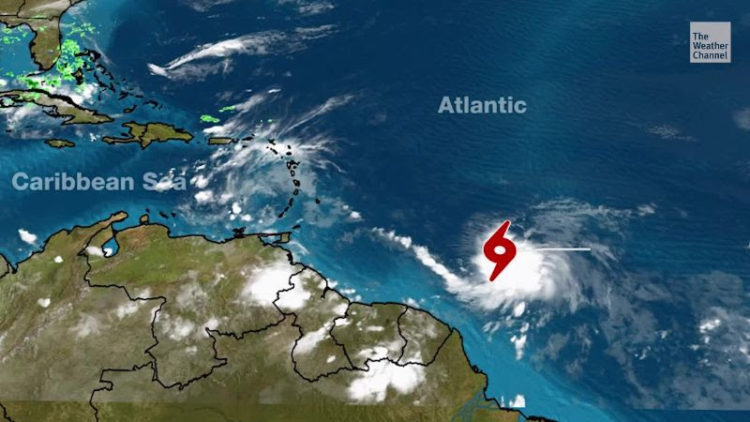 CABINET CONSIDERS PERMANENT PLACEMENT FOR SIDEWALK VENDORS