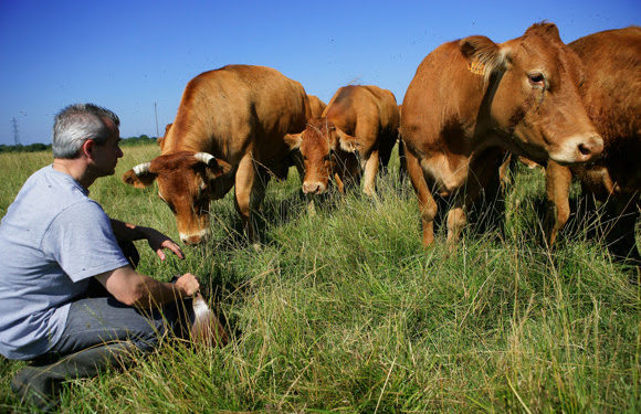 Producers, vendors and civil society mobilise to underpin value of sustainable livestock production