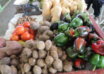 AGRICULTURE AND FISHERIES SECTORS SIGNIFICANTLY IMPROVED OVER 2020 STATISTICS, SAYS PM HARRIS