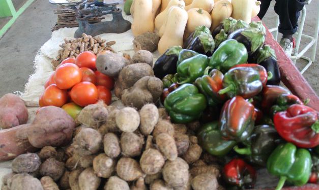 AGRICULTURE AND FISHERIES SECTORS SIGNIFICANTLY IMPROVED OVER 2020 STATISTICS, SAYS PM HARRIS