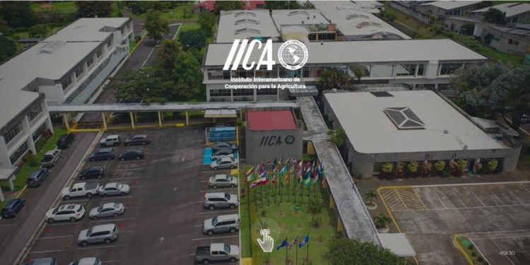 IICA launches 3D virtual platform and consolidates open door policy to the community