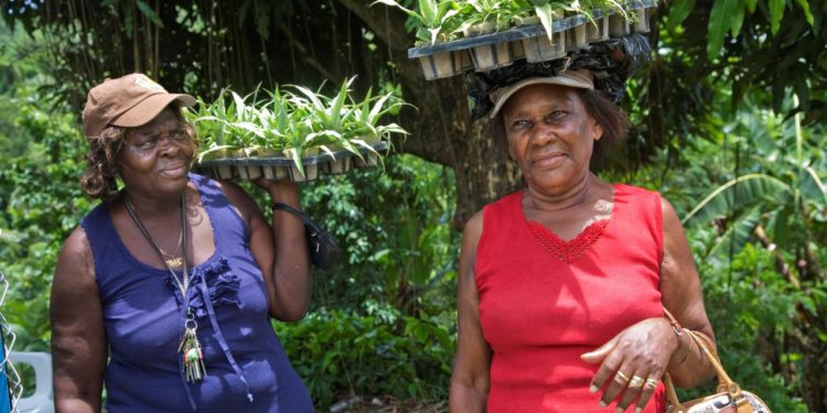 FAO spearheads gender mainstreaming to boost the region’s response to climate change in agri-food systems