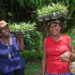FAO spearheads gender mainstreaming to boost the region’s response to climate change in agri-food systems