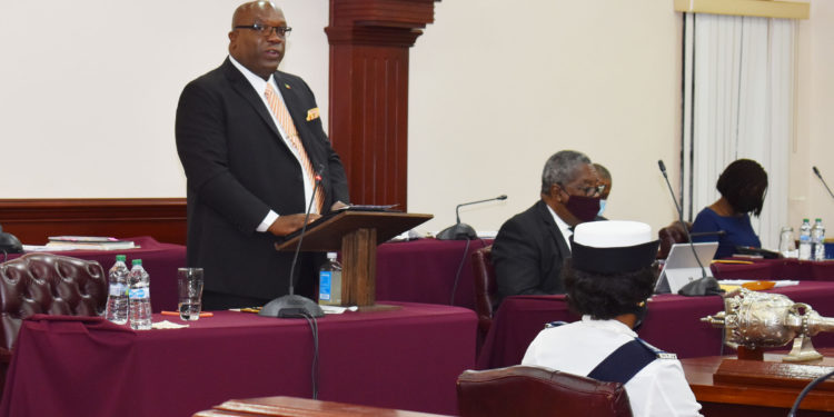 New stimulus package covers persons living with disabilities, says PM Harris