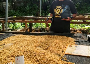 Salvadoran coffee producer and “Cup of Excellence 2021” winner Ever Díaz to receive IICA’s “Leaders of Rurality” award