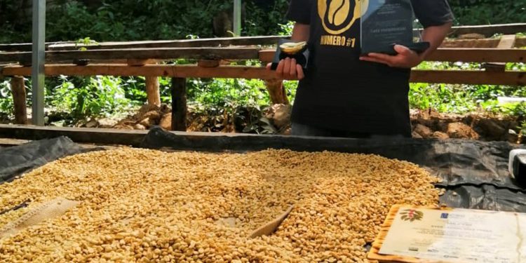 Salvadoran coffee producer and “Cup of Excellence 2021” winner Ever Díaz to receive IICA’s “Leaders of Rurality” award