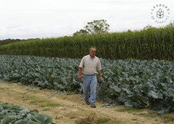 American farmer to receive IICA “Leaders of Rurality” award for innovative initiatives linking education and agriculture