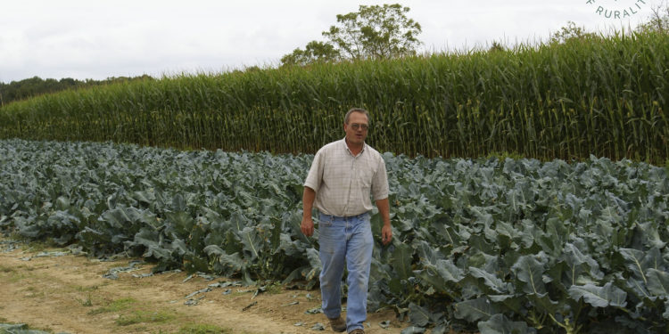 American farmer to receive IICA “Leaders of Rurality” award for innovative initiatives linking education and agriculture