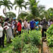 IICA Grenada launches backyard gardeners network initiative