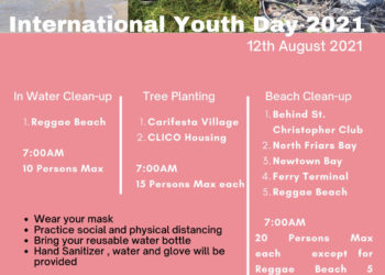 ENVIRONMENTAL ACTIVITIES TO MARK INTERNATIONAL YOUTH DAY