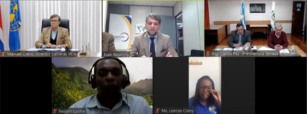 Argentina and IICA share experiences in electronic health certification, a key tool to improving agricultural trade