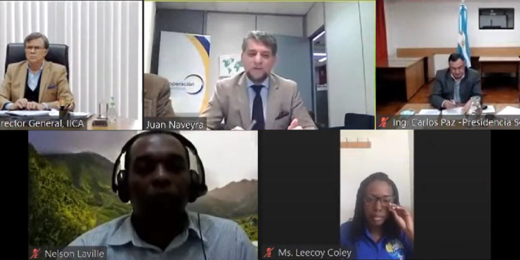 Argentina and IICA share experiences in electronic health certification, a key tool to improving agricultural trade