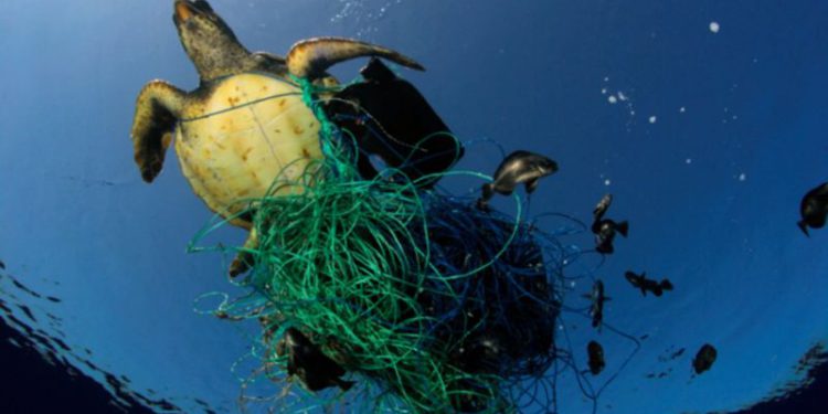 FISHING IS MADE INCREASINGLY DIFFICULT FOR FISHERMEN DUE TO MARINE POLLUTION