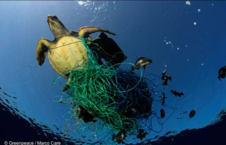 FISHING IS MADE INCREASINGLY DIFFICULT FOR FISHERMEN DUE TO MARINE POLLUTION