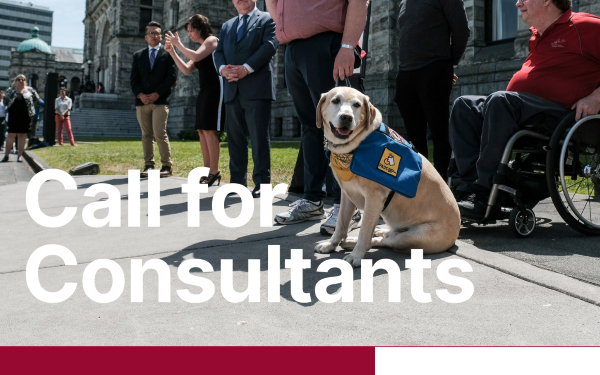 Call for a Consultant CPA Parliamentary Academy Course: Accessibility of Commonwealth Parliaments to Persons with Disabilities