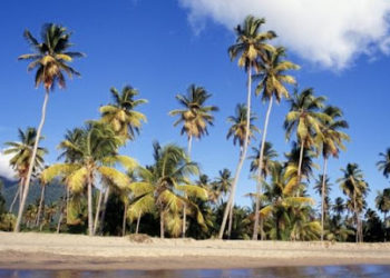 UK Journalist Reviews Her Stay on the Island of Nevis for Leading Media Outlet News journalist shares her Nevisian experience with its readers