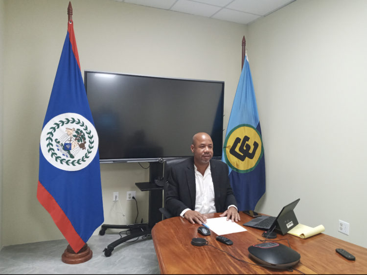 CARICOM Ministerial Workshop Discusses Climate Emergency Ahead of COP 26