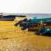 INFLUX OF SARGASSUM SEAWEED NEGATIVELY IMPACTING FISHERFOLK IN ST. KITTS & NEVIS