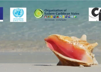 Moving the Queen Conch Industry Forward!