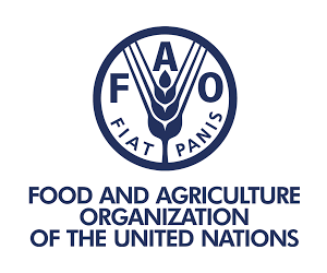 A new momentum in transforming agri-food systems in the march to ending hunger