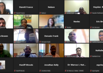 DEPARTMENT OF ENVIRONMENT STRIVES TO BUILD NATIONAL CAPACITY WITH ITS MITIGATION AND ENERGY STAKEHOLDERS