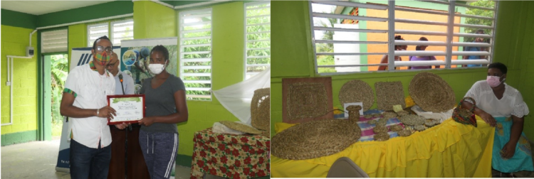 The IICA/CBF-EbA Project helps build back traditional vetiver handicraft skills in vulnerable communities in Dominica