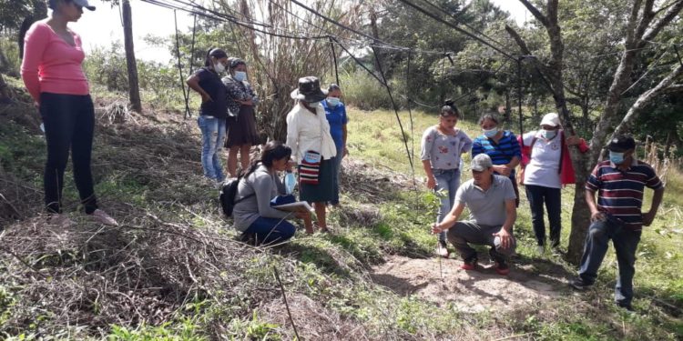 Over 2,000 family farmers from eight countries strengthen their adaptive capacity to climate change with the support of IFAD and IICA