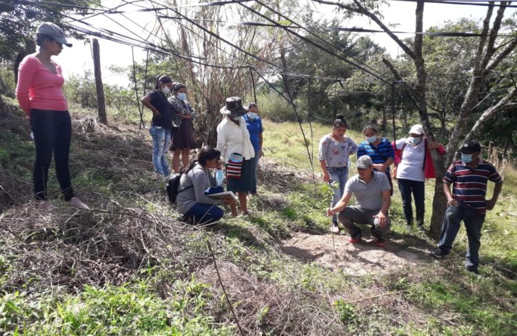 Over 2,000 family farmers from eight countries strengthen their adaptive capacity to climate change with the support of IFAD and IICA