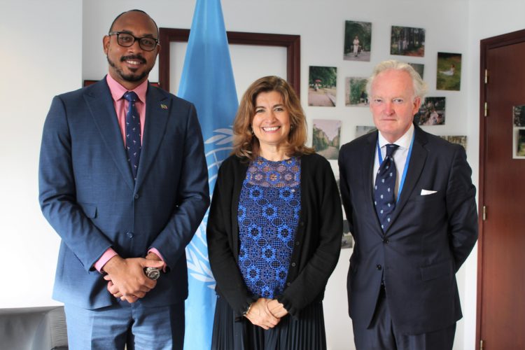 Minister Powell hears about growing prominent role played by the Federation in UNESCO’s substantive activities