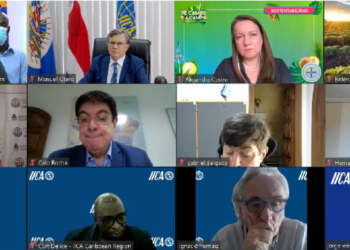 Striving to rehabilitate agriculture following the volcano disaster, IICA coordinates another seed donation to St. Vincent and the Grenadines