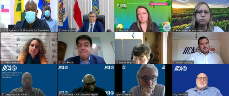 Striving to rehabilitate agriculture following the volcano disaster, IICA coordinates another seed donation to St. Vincent and the Grenadines