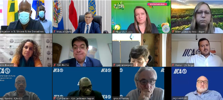 Striving to rehabilitate agriculture following the volcano disaster, IICA coordinates another seed donation to St. Vincent and the Grenadines