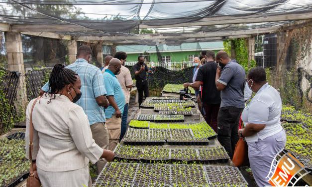 AVEC HOSTS PROFESSIONAL DEVELOPMENT DAY TOUR GEARED TOWARDS STRENGTHENING AND EXPANDING PROGRAMMES ON OFFER