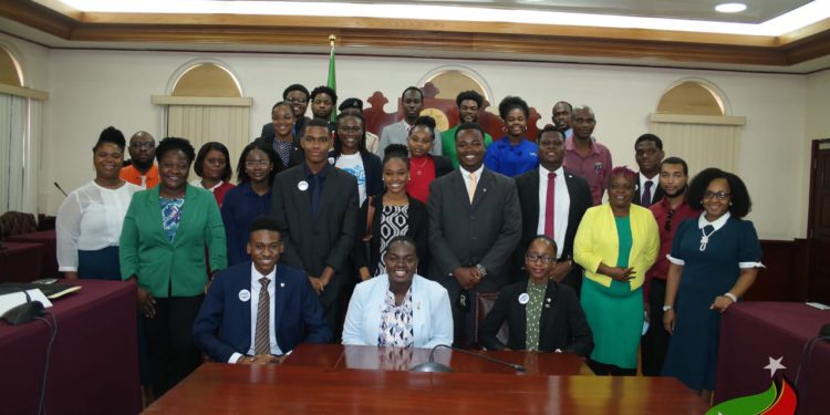 SKNYPA Commemorates Energy and Youth Month with Mock Parliament Sitting