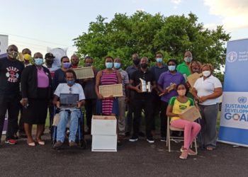 FAO and IICA keeps buzzing with training of beekeepers in Antigua