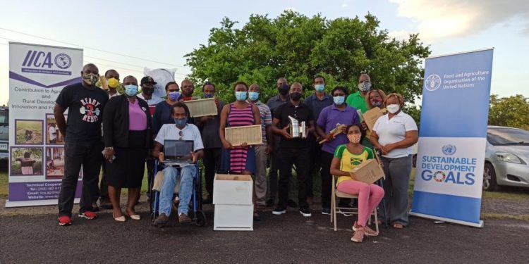 FAO and IICA keeps buzzing with training of beekeepers in Antigua
