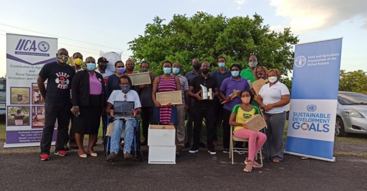 FAO and IICA keeps buzzing with training of beekeepers in Antigua